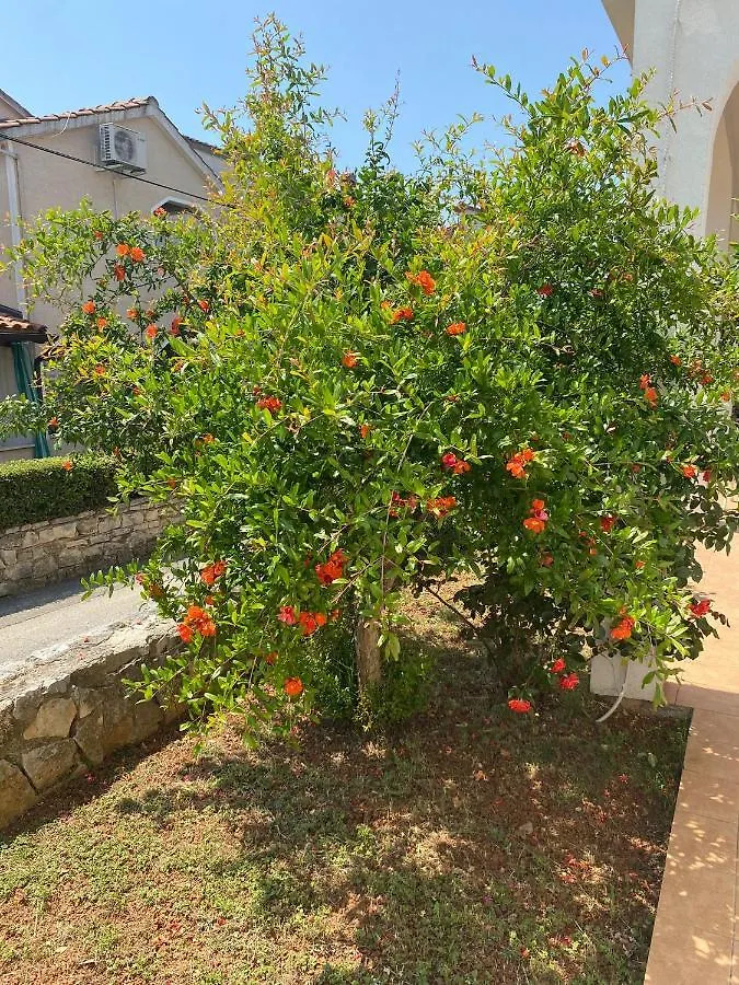 Διαμέρισμα Apartmani Ana Borovac Funtana